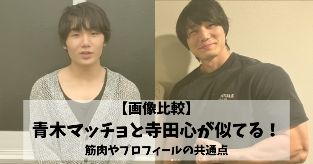 青木マッチョと寺田心が似てる!画像比較